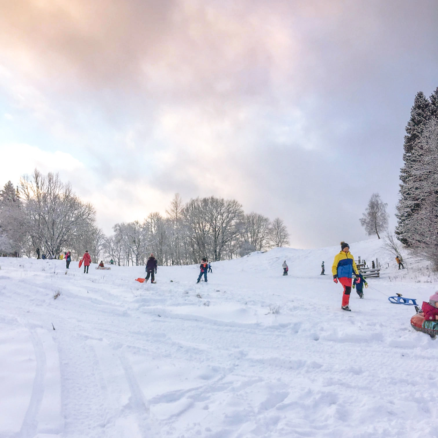 Ķauķu kalns gallery image 2